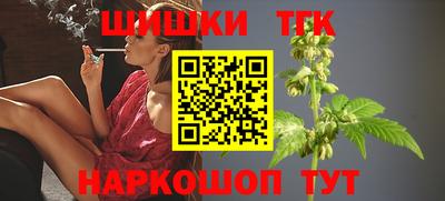 индика Гусиноозёрск