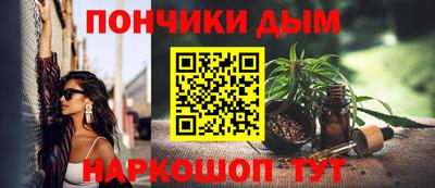 индика Гусиноозёрск
