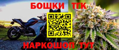 индика Гусиноозёрск