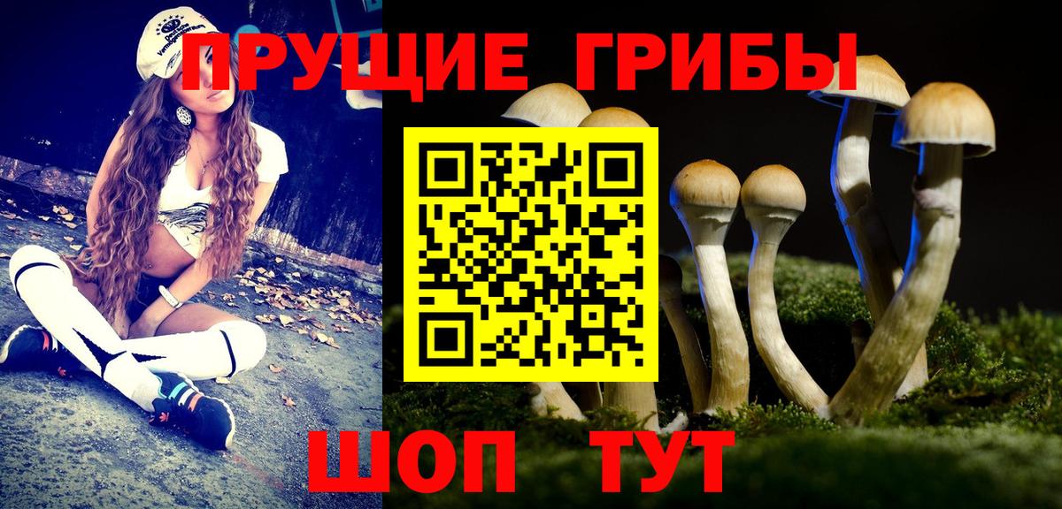 Галлюциногенные грибы Magic Shrooms Волоколамск
